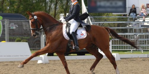 Upphandling av TV-produktion för EM i ridsport
