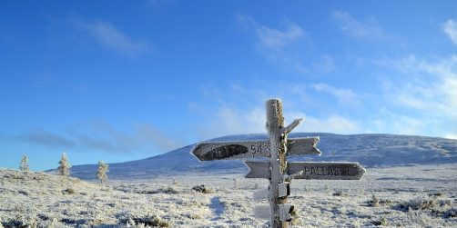 Projektet som ska sätta den svenska kommunen på världskartan