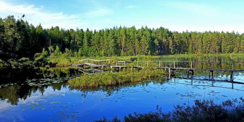 Visit Sweden lägger ut den svenska naturen på Airbnb