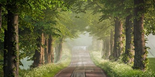 Tourism in Skåne och Region Skåne lämnar förslag om hållbar turism till regeringen