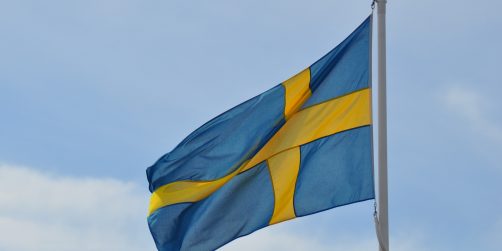De tillträder som nya styrelsemedlemmar för Visit Sweden