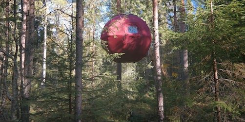 8 tips: Konferera i en trädkoja bland trädtopparna