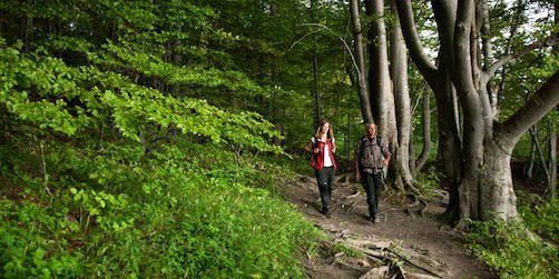 Destination utsedd till Sveriges första hållbara region