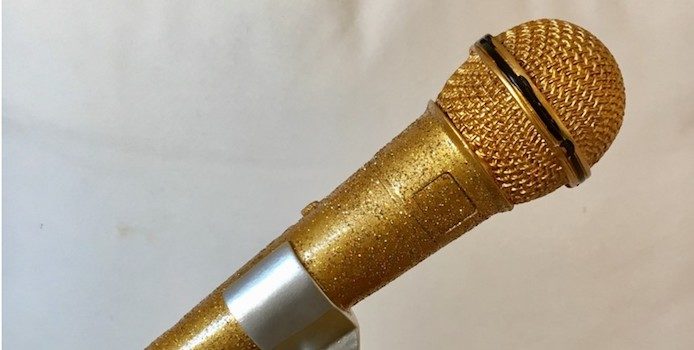 De kan vinna Stora Talarpriset 2019