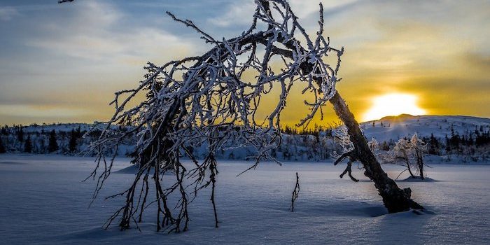 Norrland får en egen eventmässa