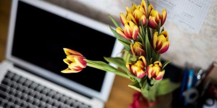 Livsmedelsverket upphandlar kurs- och konferensadministration