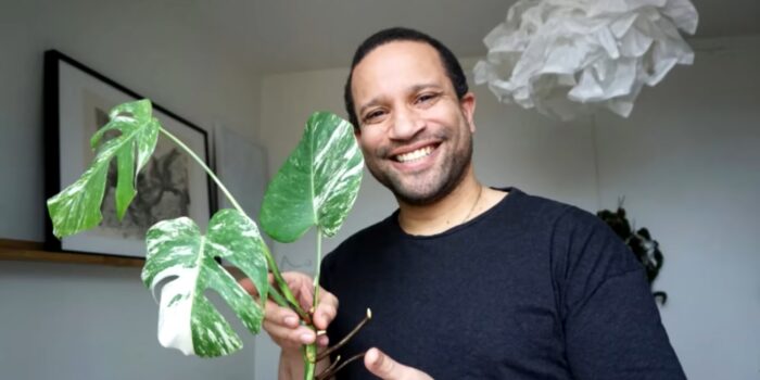 Succén Sticklingbytardagen tillbaka på Trädgårdsmässan