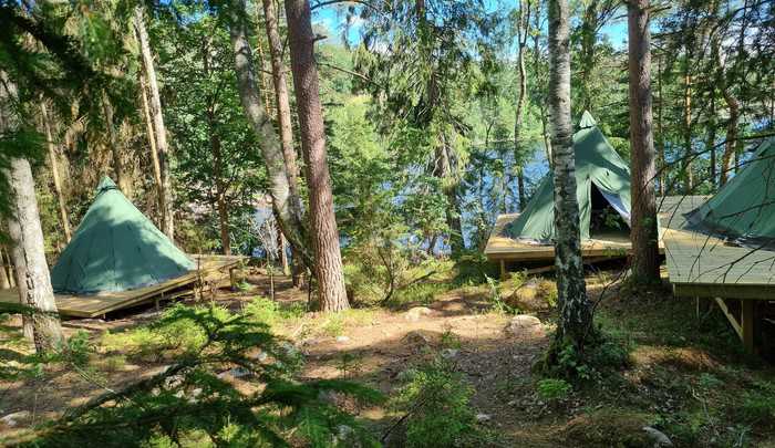 En oförglömlig upplevelse: vildmarkskonferens i Dalsland