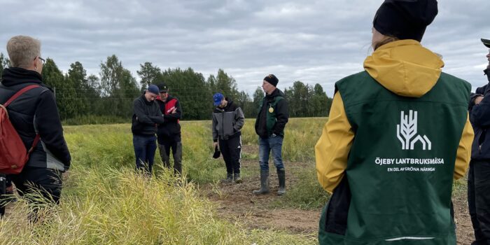 Ojeby Lantbruksmassa OLM fotograf Jessica Lindberg 1 Öjeby Lantbruksmässa blir till fältdagar