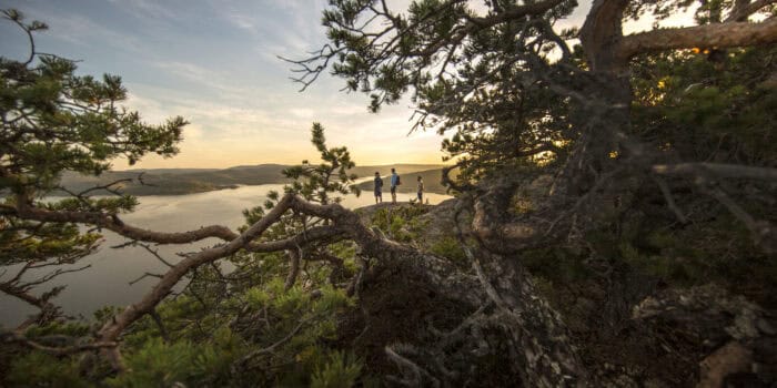 Höga Kusten blir värd för Placebranders Day 2026