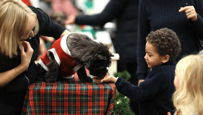 Hundfesten som gav hallarna puls och besökarna minnen