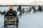 Kiruna satte ny standard för internationella möten: ”The best Swedish Workshop ever”