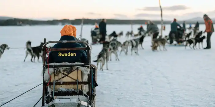 Kiruna satte ny standard för internationella möten: ”The best Swedish Workshop ever”