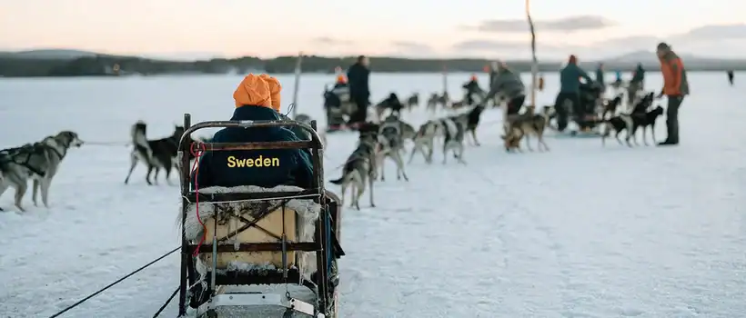 Kiruna satte ny standard för internationella möten: ”The best Swedish Workshop ever”