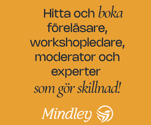 Modul Mindley 300x250