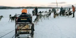 Kiruna satte ny standard för internationella möten: ”The best Swedish Workshop ever”