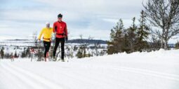 Konferera i fjällen: 16 skäl att välja Lofsdalen